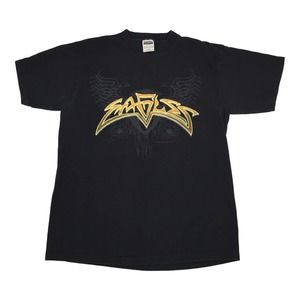 Eagles Hell Freezes Over 1995 ツアーTシャツ Original vintage 1995 Eagles Hell Freezes Over Tour Shirt